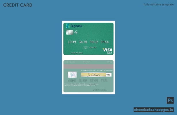 Beispielvorschau der Estonia Bigbank Visa Debitkarte